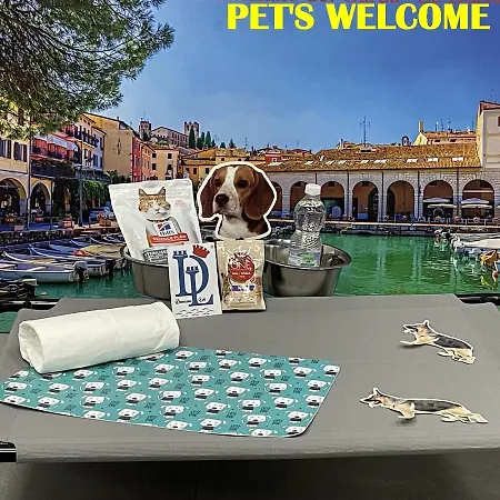 Desenzanoloft Official Partner Marriott Homes & Villas - A Casa Di Sara Family Apartment With Private Parking Desenzano del Garda Exterior photo